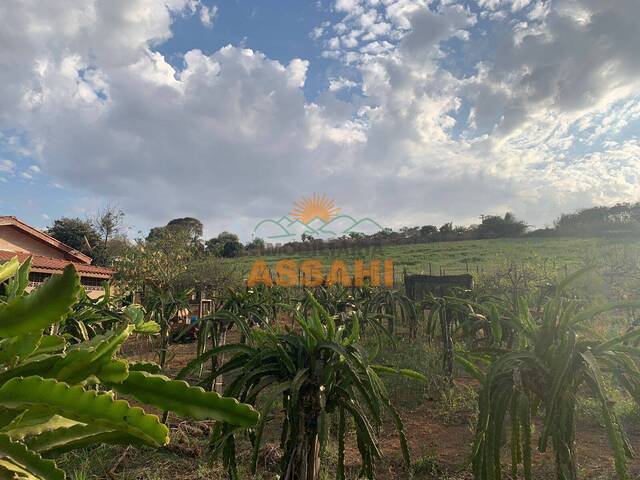 #5059 - Sítio para Venda em Itatiba - SP - 1