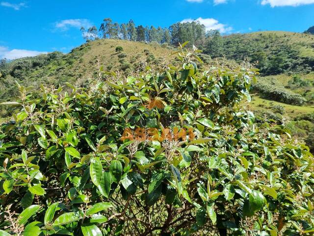 #040 - Fazenda para Venda em Itatiba - SP - 3