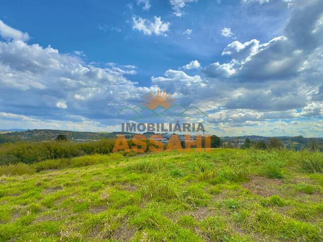 #4455 - Área Rural para Venda em Itatiba - SP - 3