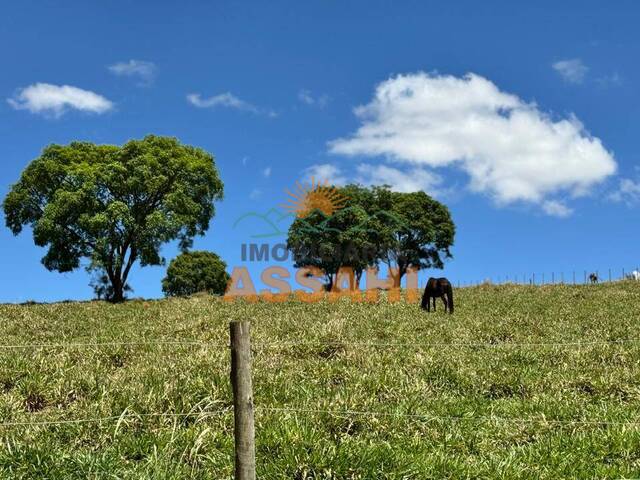 #5070 - Área Rural para Venda em Itatiba - SP - 1