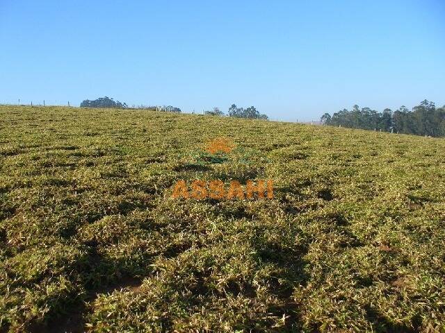 Sítio para Venda em Bragança Paulista - 4