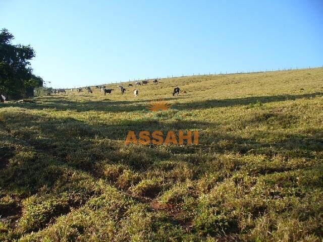 Sítio para Venda em Bragança Paulista - 5