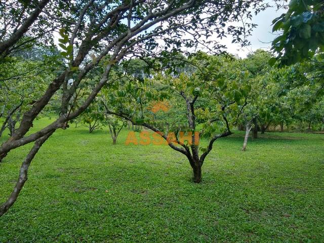 #4453 - Chácaras para Venda em Itatiba - SP - 2