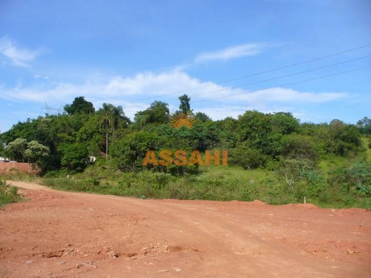 Terreno, 8 hectares - Foto 2