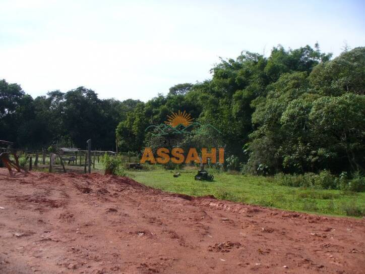 Terreno, 8 hectares - Foto 3