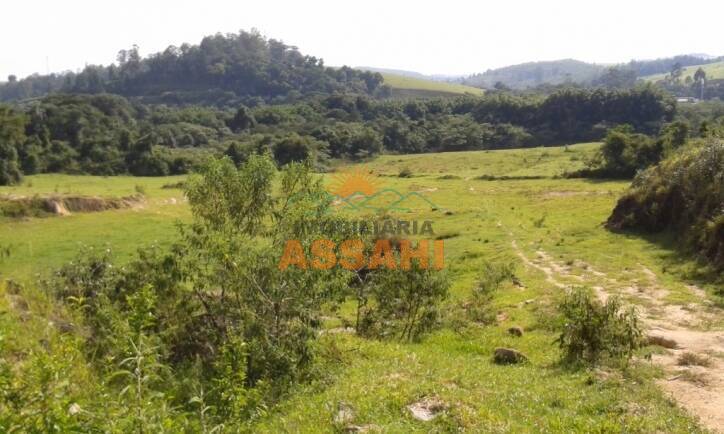 Terreno, 8 hectares - Foto 5