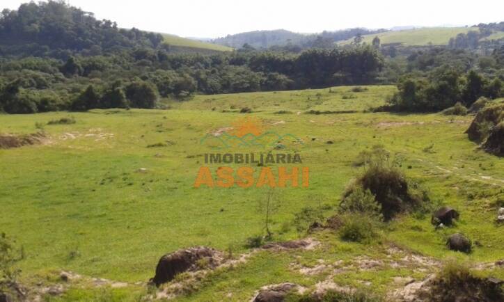 Terreno, 8 hectares - Foto 6