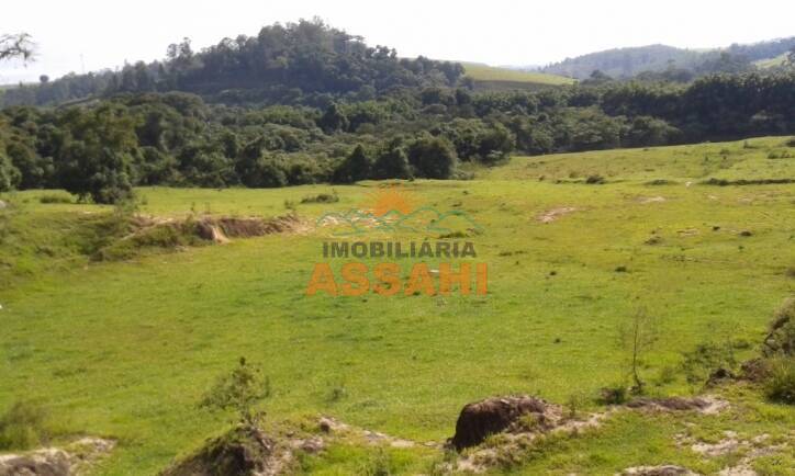 Terreno, 8 hectares - Foto 7