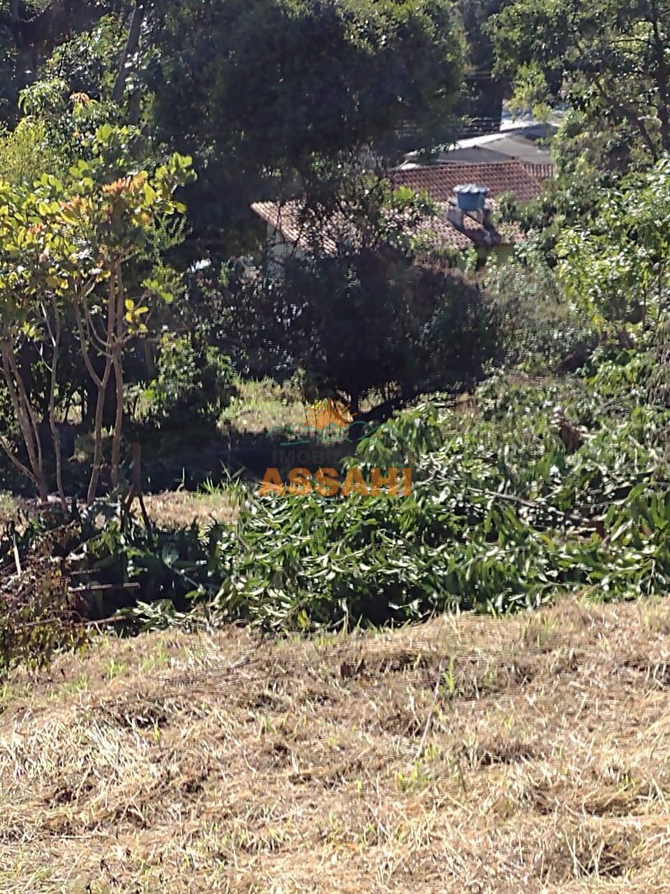 Terreno, 1001 m² - Foto 5