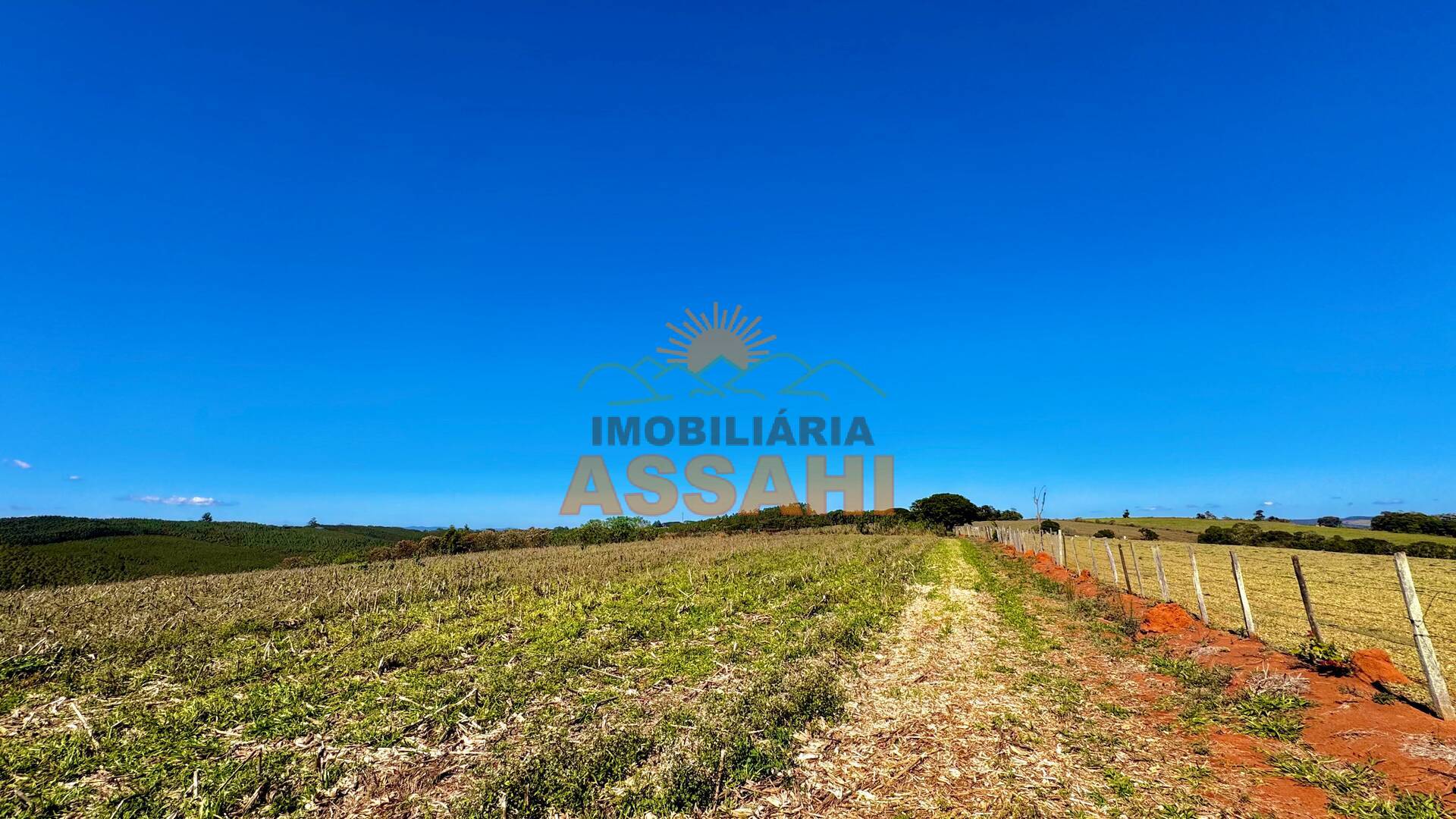 Terreno, 12 hectares - Foto 4