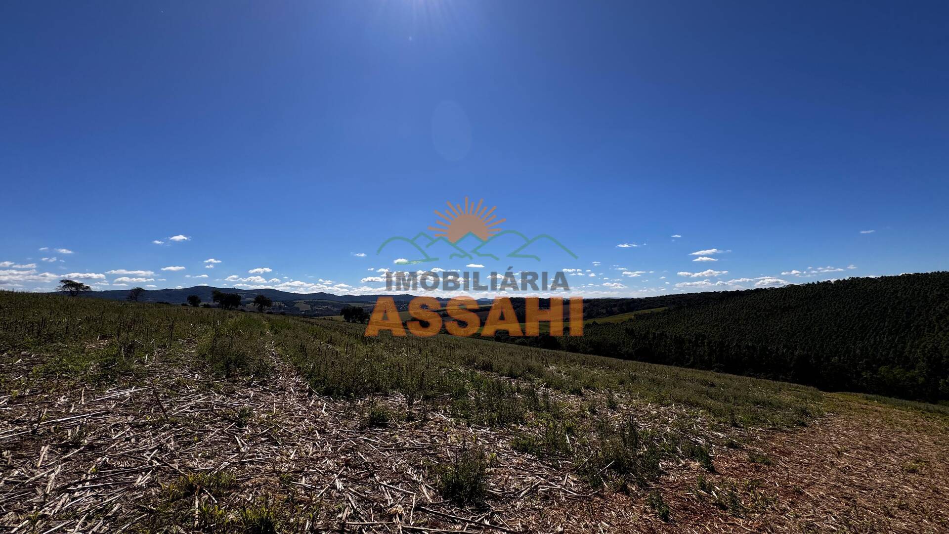 Terreno, 12 hectares - Foto 12