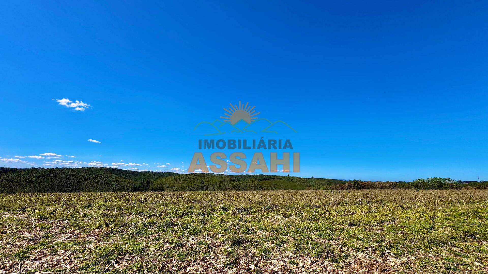 Terreno, 12 hectares - Foto 13