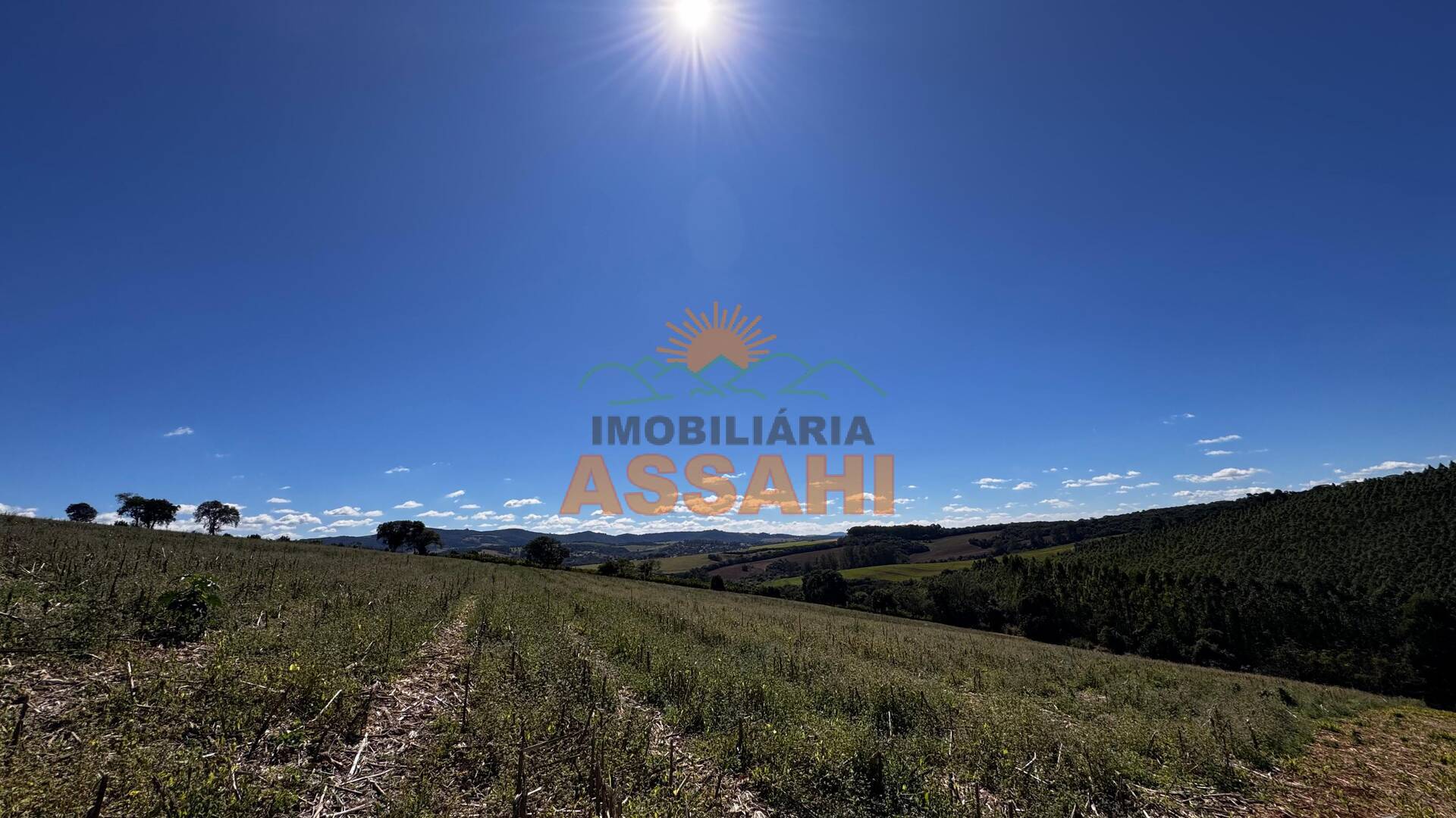 Terreno, 12 hectares - Foto 6