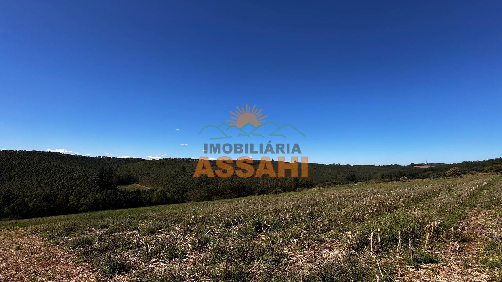 Terreno, 12 hectares - Foto 15