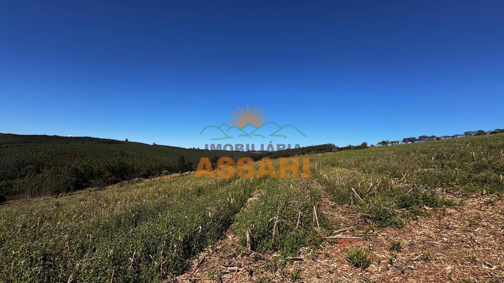 Terreno, 12 hectares - Foto 16