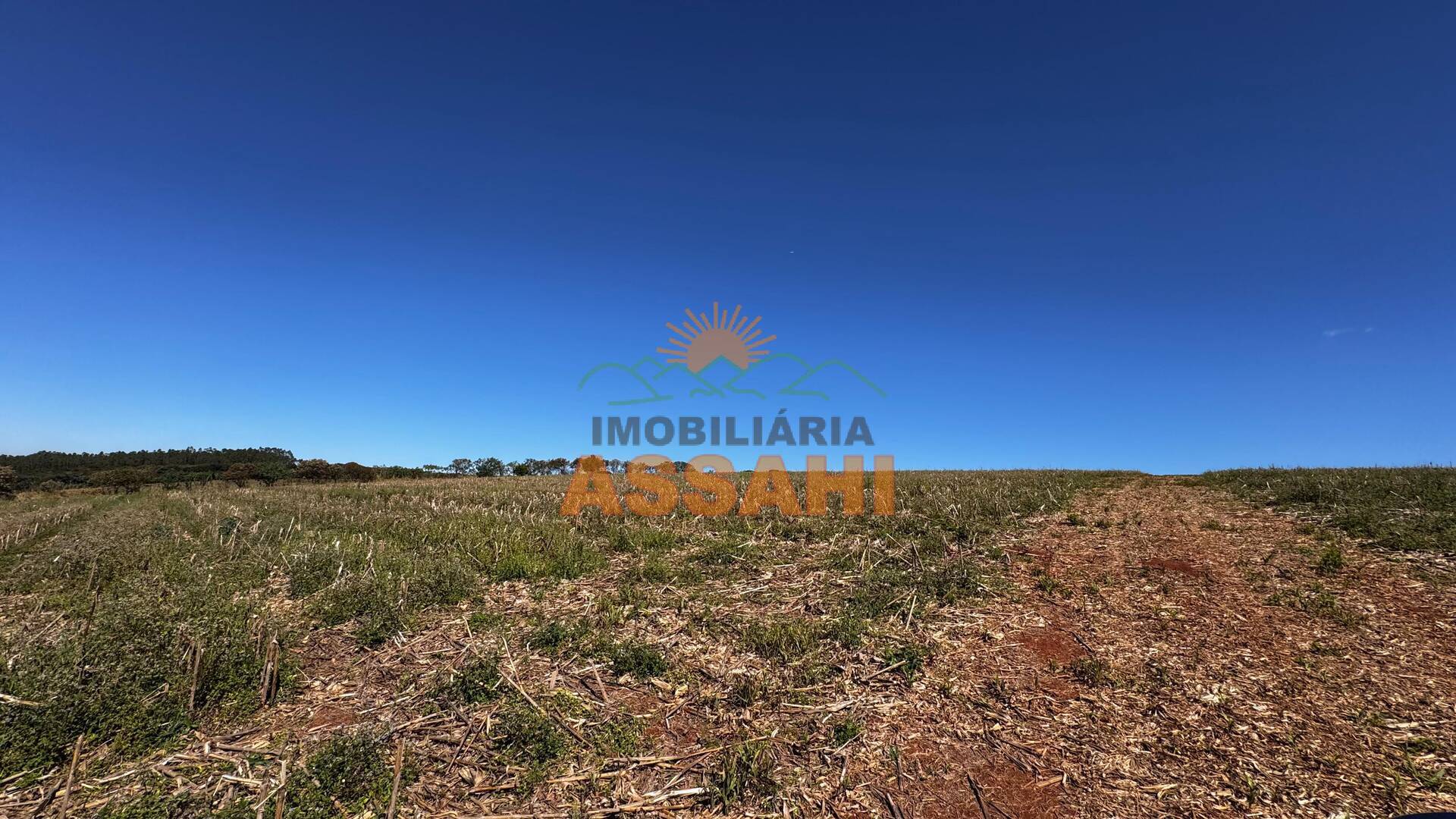 Terreno, 12 hectares - Foto 17