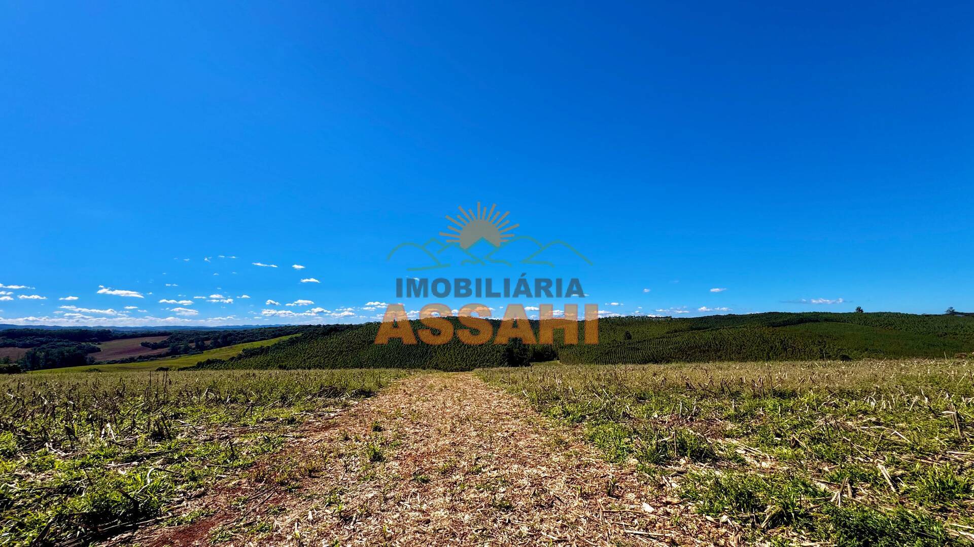 Terreno, 12 hectares - Foto 18