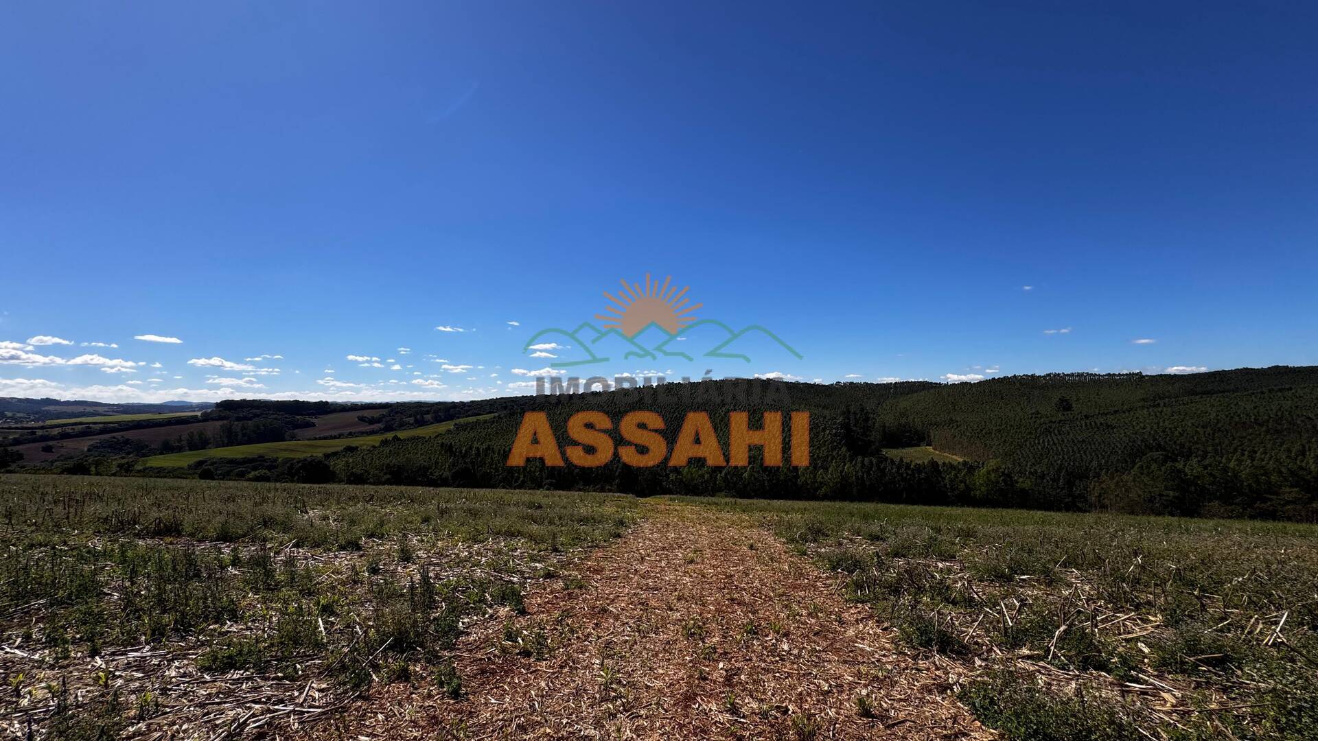 Terreno, 12 hectares - Foto 19