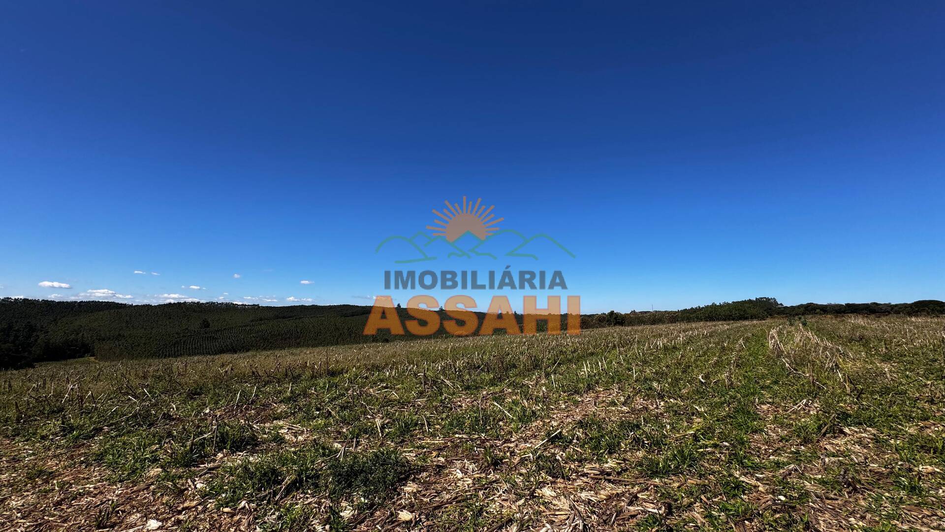 Terreno, 12 hectares - Foto 21