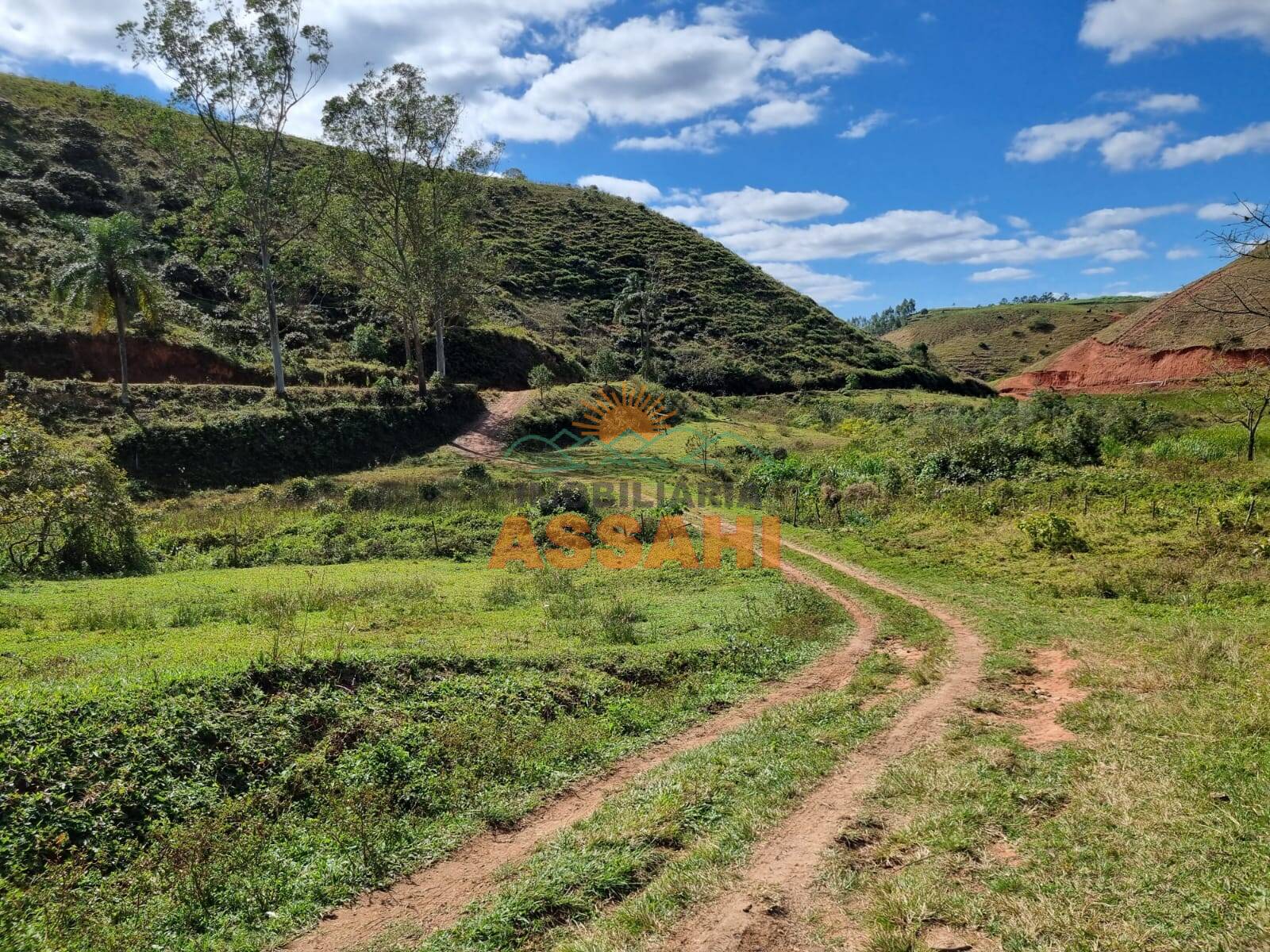 Terreno, 266 hectares - Foto 10
