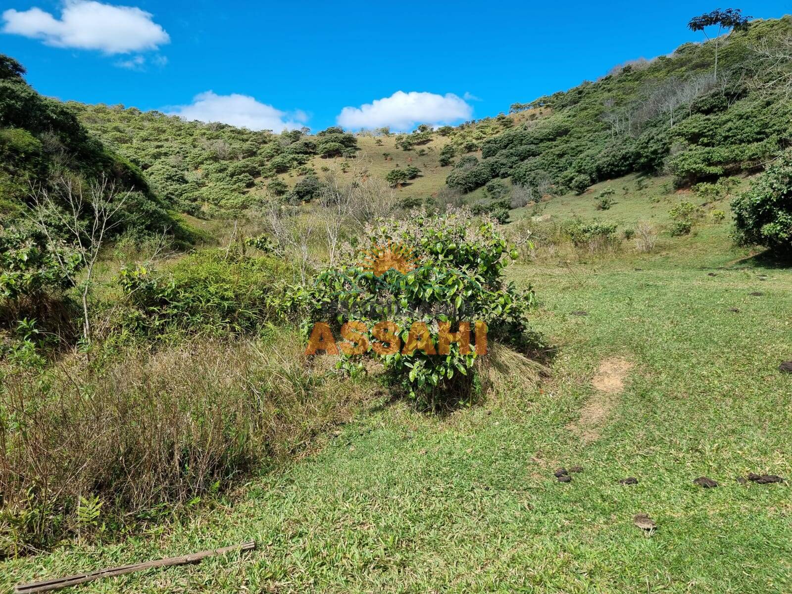 Terreno, 266 hectares - Foto 15
