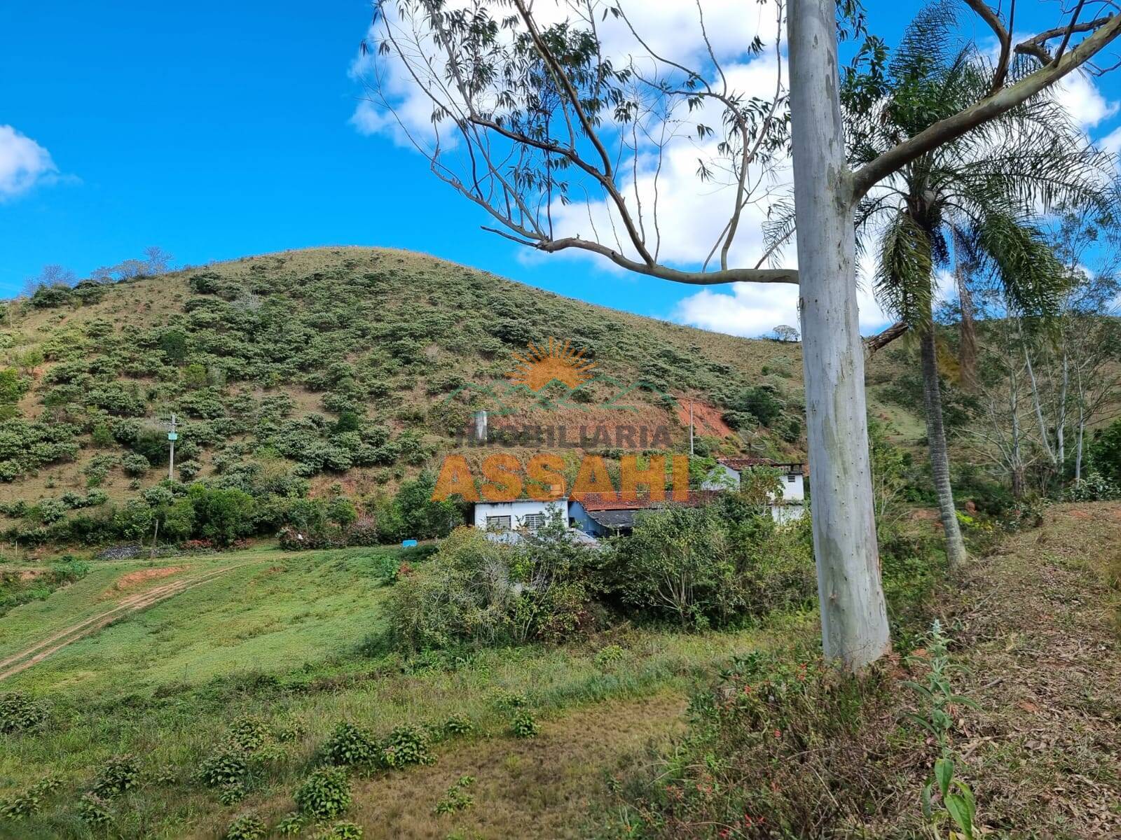 Terreno, 266 hectares - Foto 18