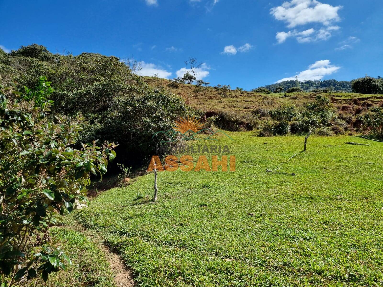 Terreno, 266 hectares - Foto 16