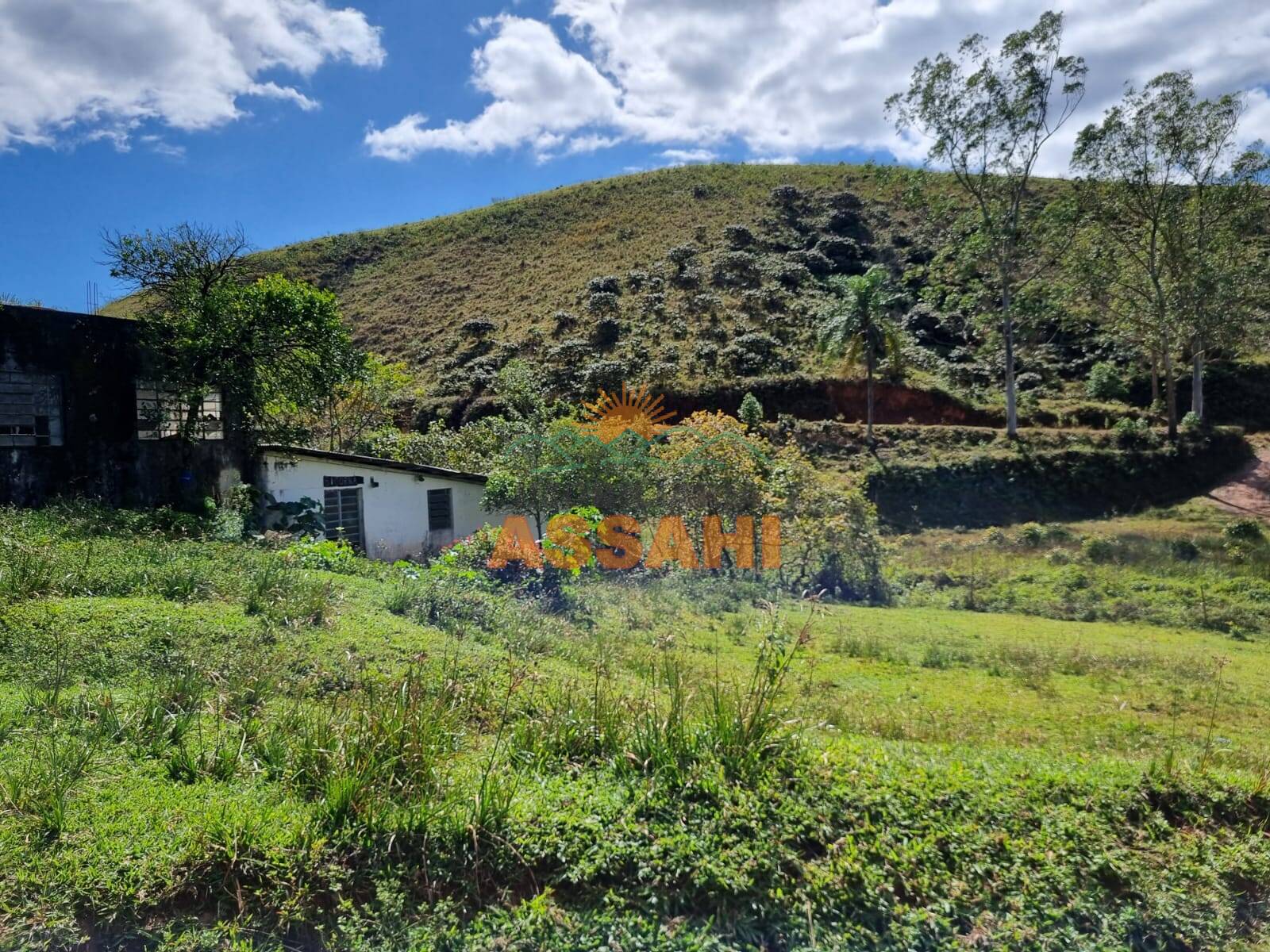 Terreno, 266 hectares - Foto 23