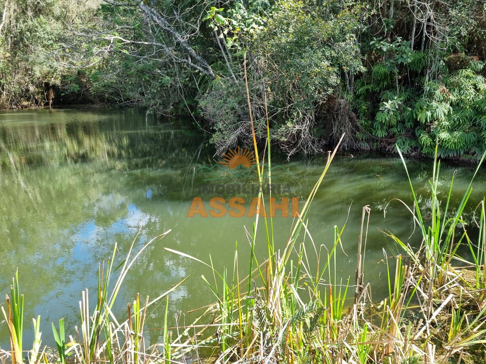 Terreno, 266 hectares - Foto 28