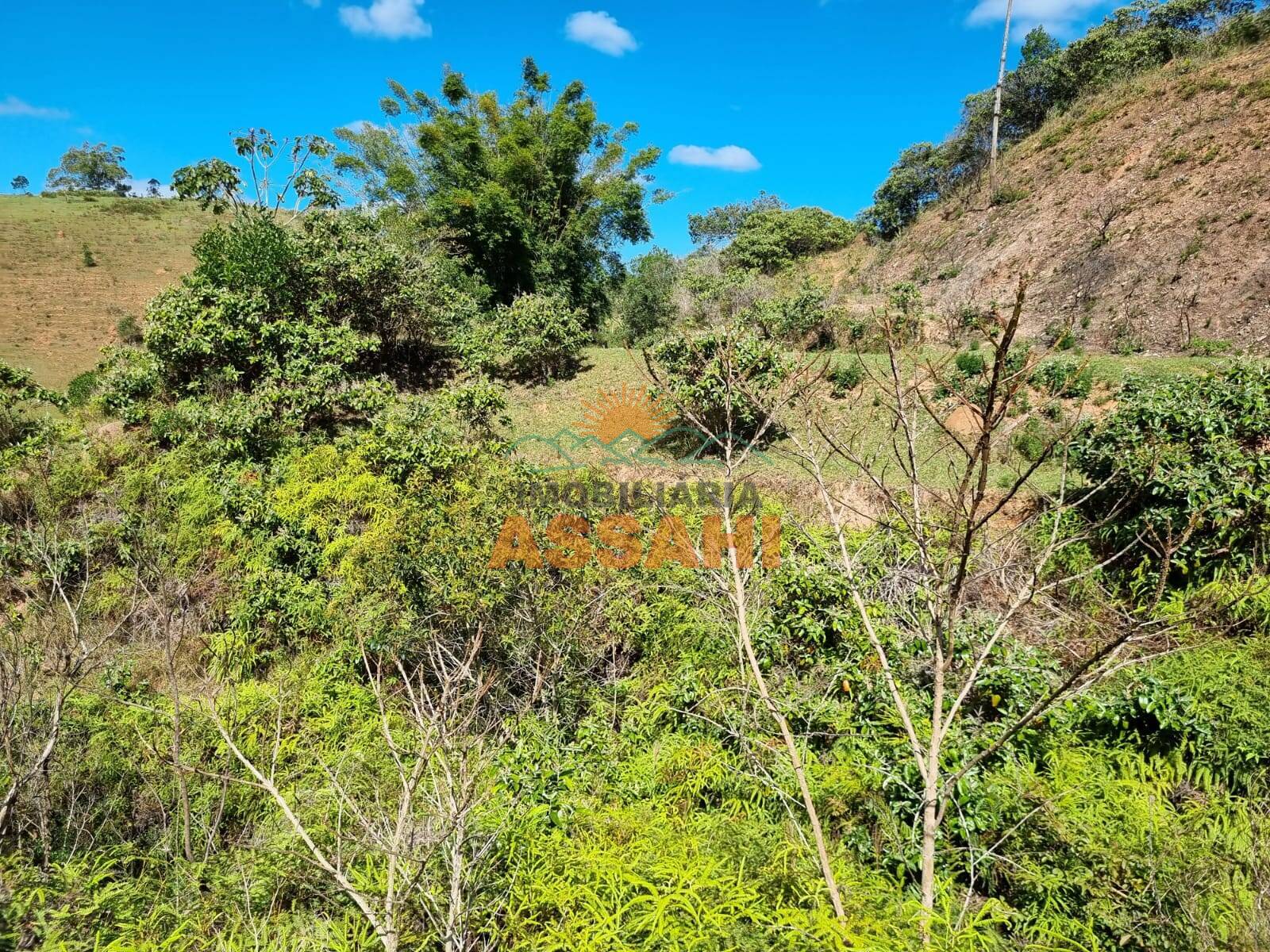 Terreno, 266 hectares - Foto 30