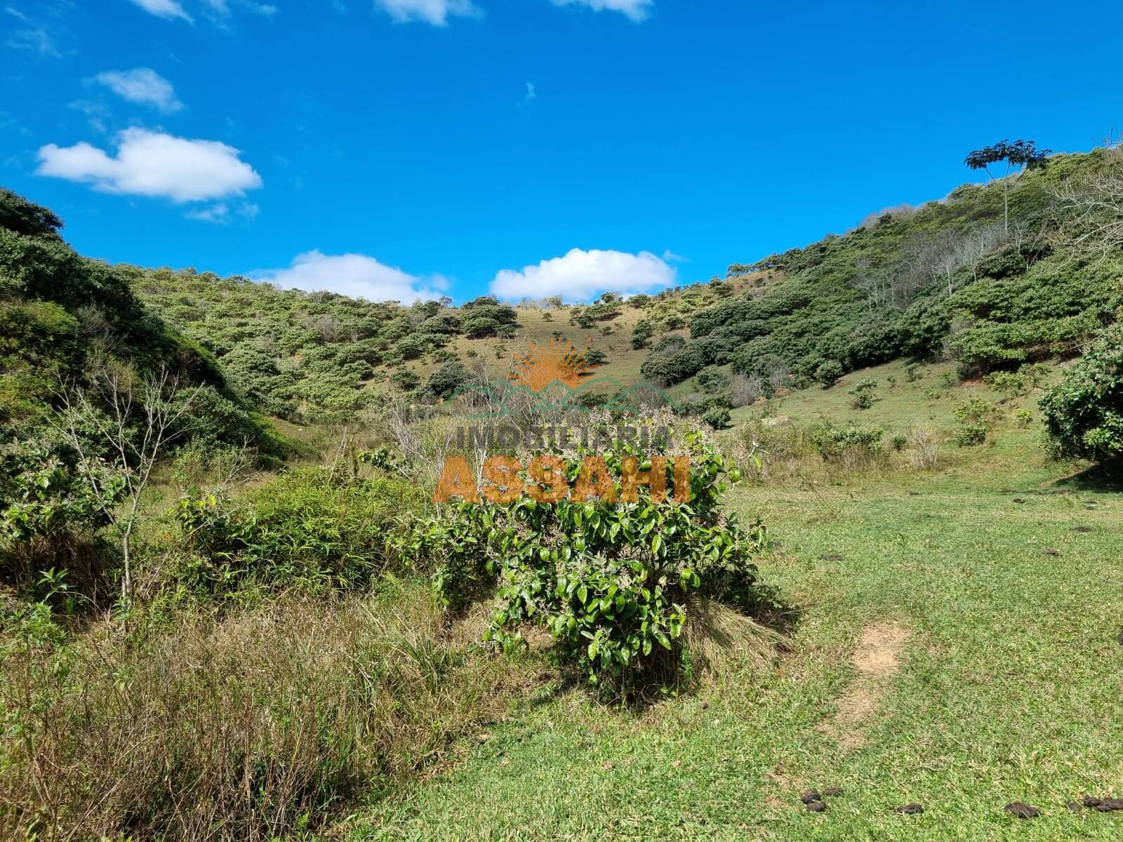 Terreno, 266 hectares - Foto 31