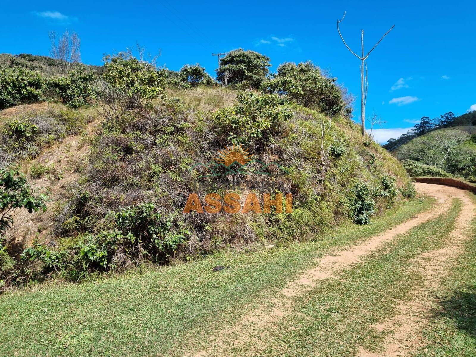 Terreno, 266 hectares - Foto 34