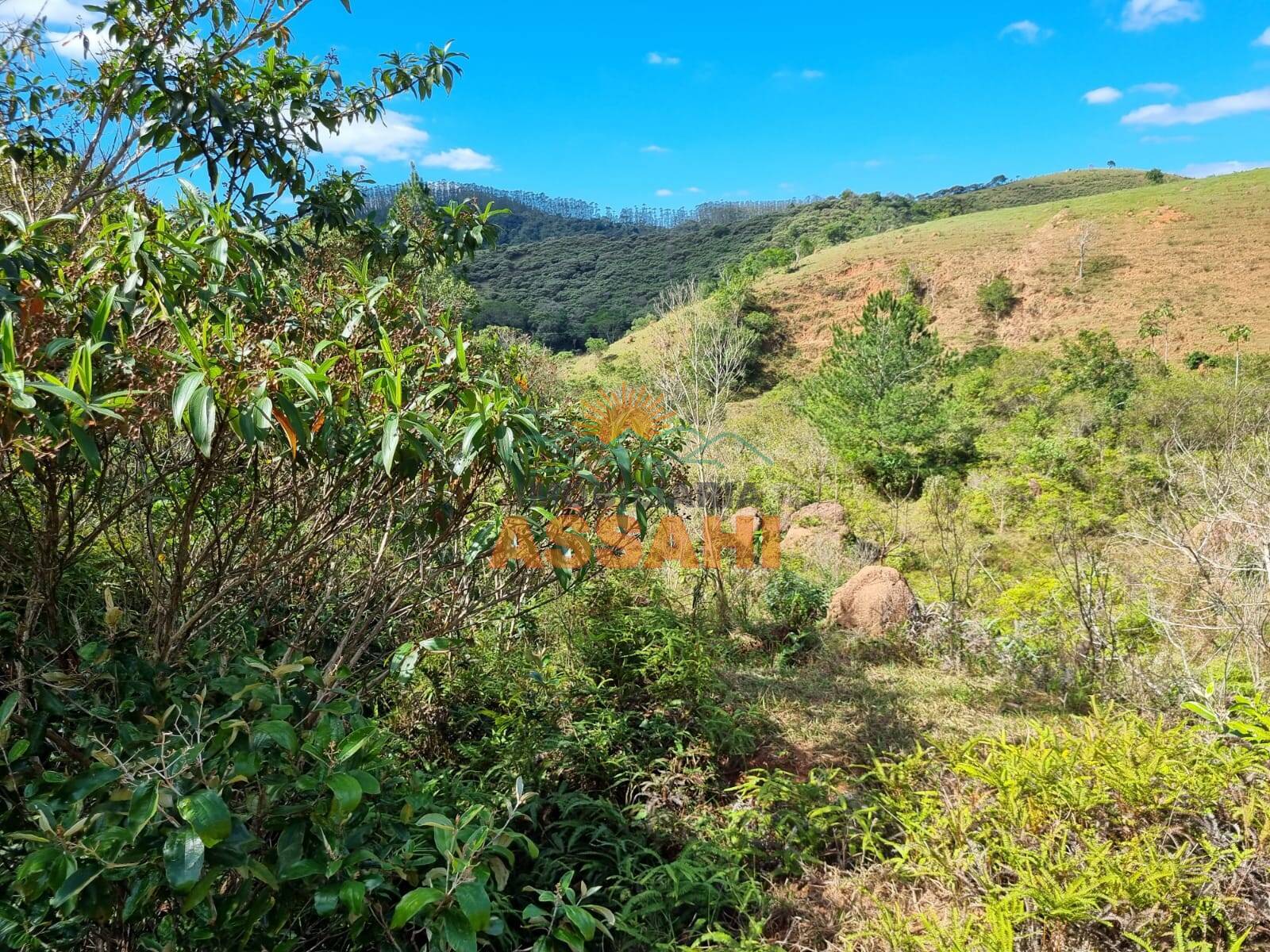 Terreno, 266 hectares - Foto 35