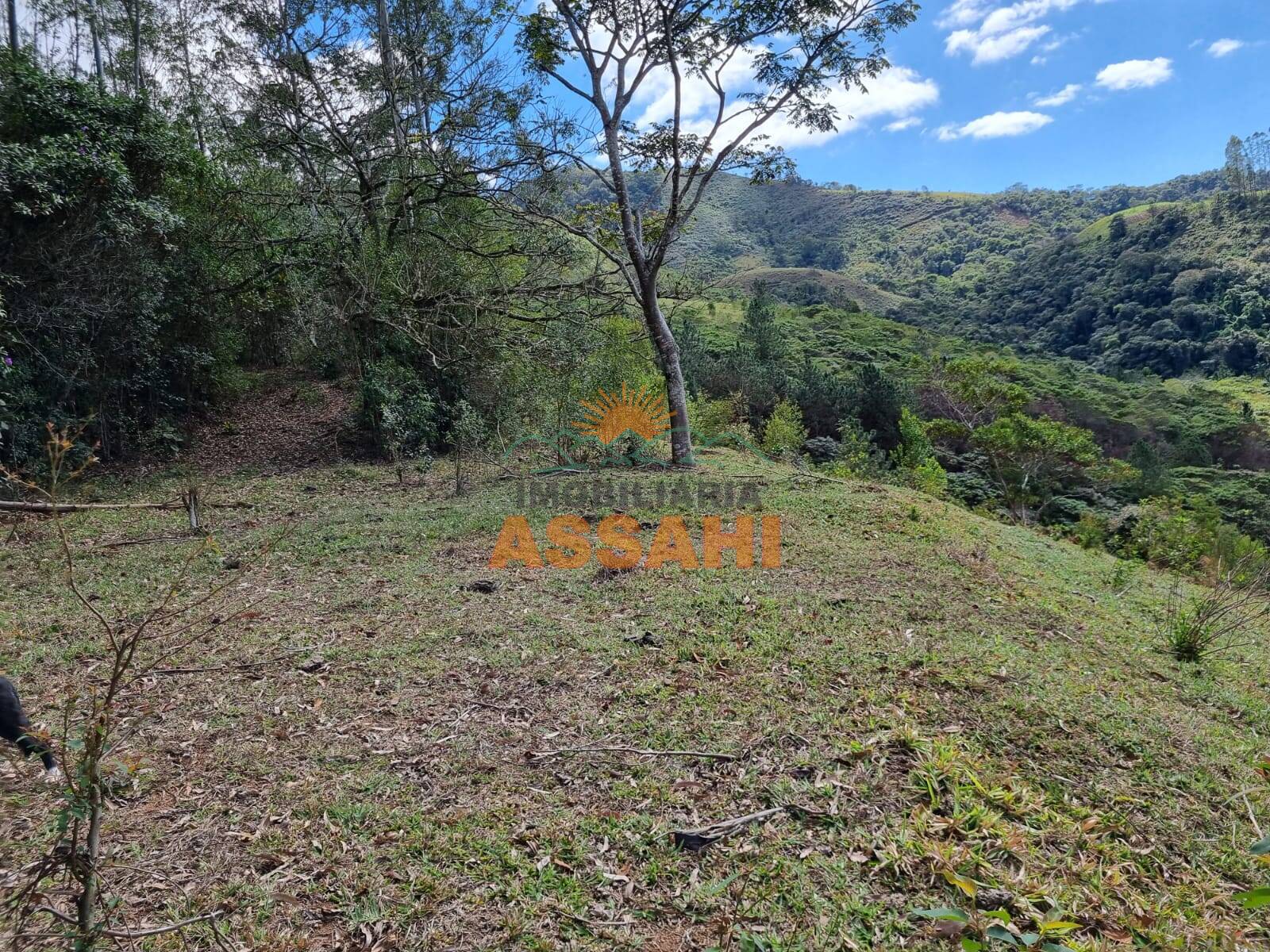 Terreno, 266 hectares - Foto 38