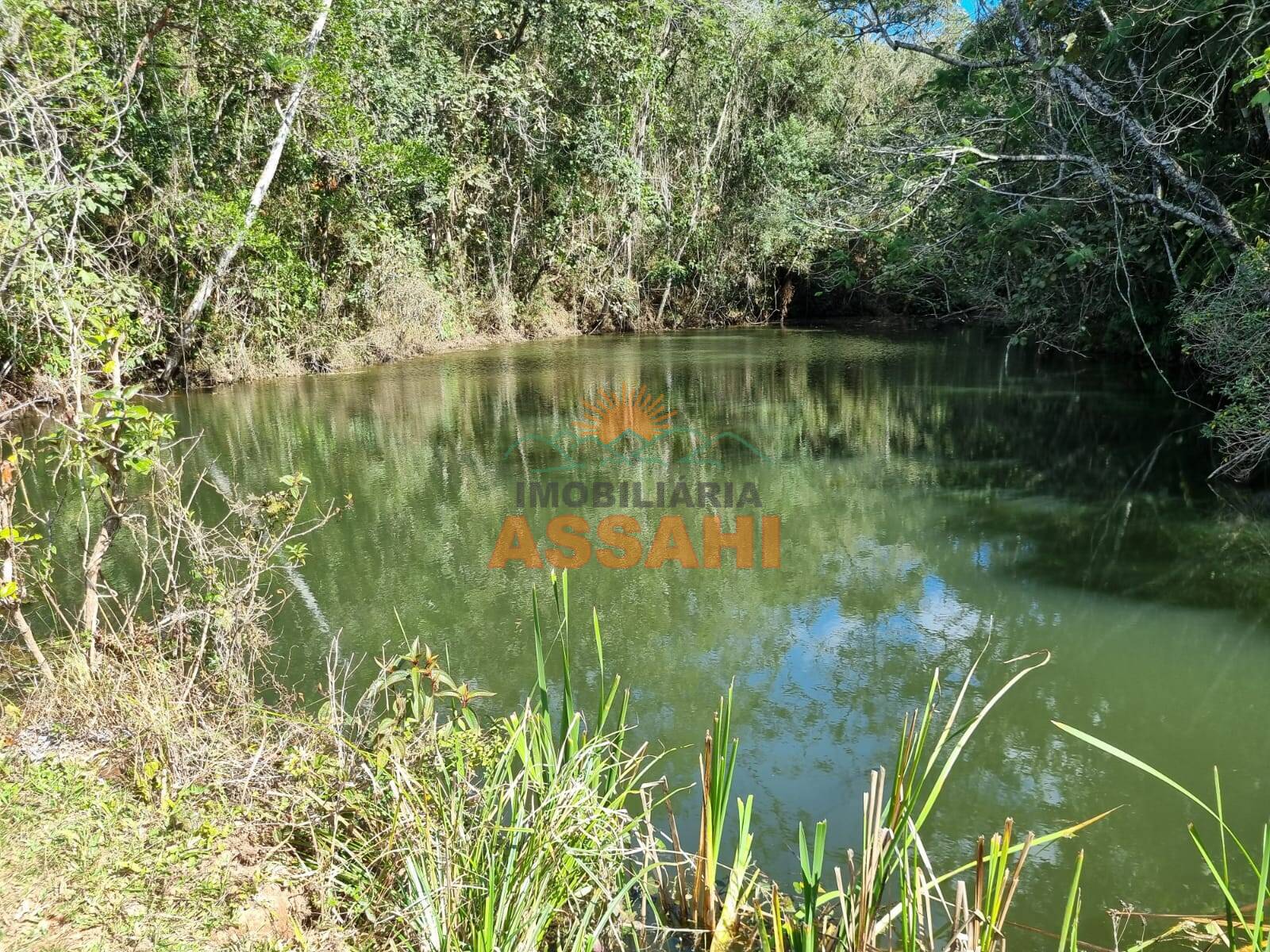 Terreno, 266 hectares - Foto 43