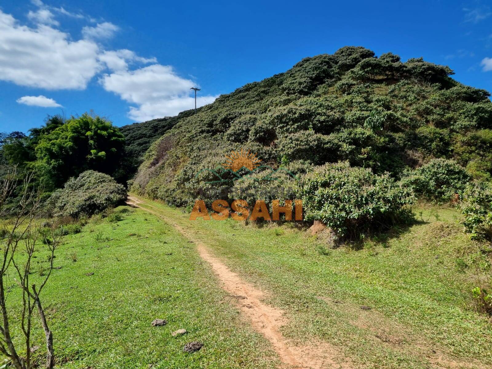 Terreno, 266 hectares - Foto 44