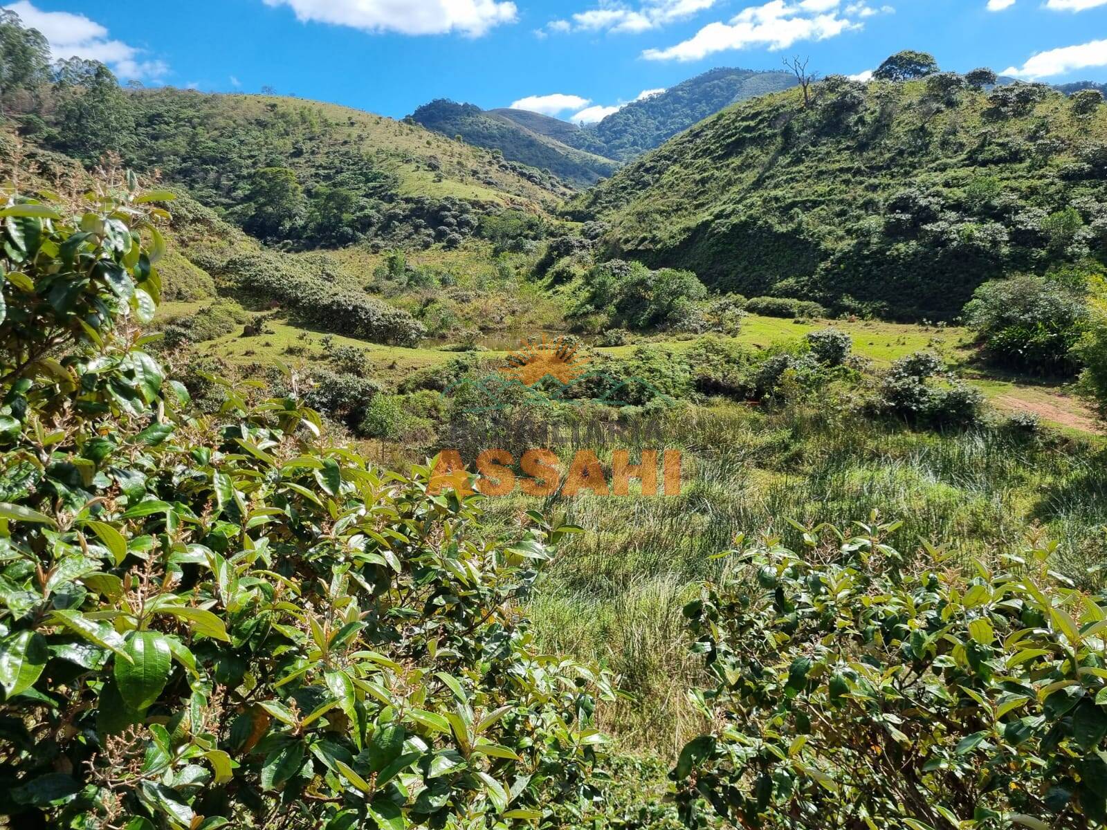 Terreno, 266 hectares - Foto 46