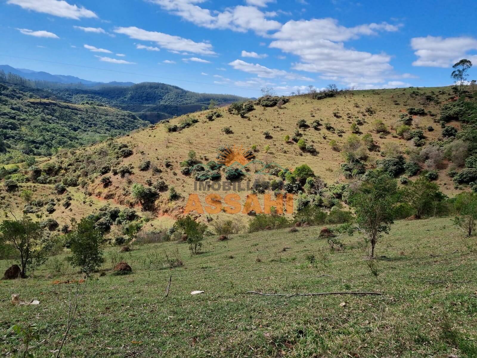 Terreno, 266 hectares - Foto 49