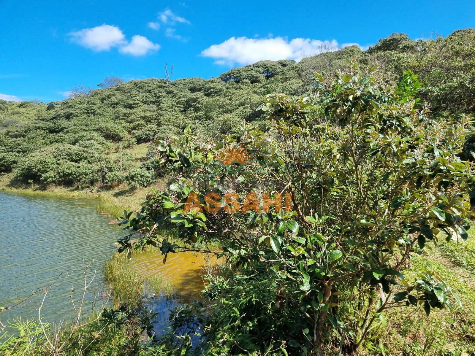 Terreno, 266 hectares - Foto 51