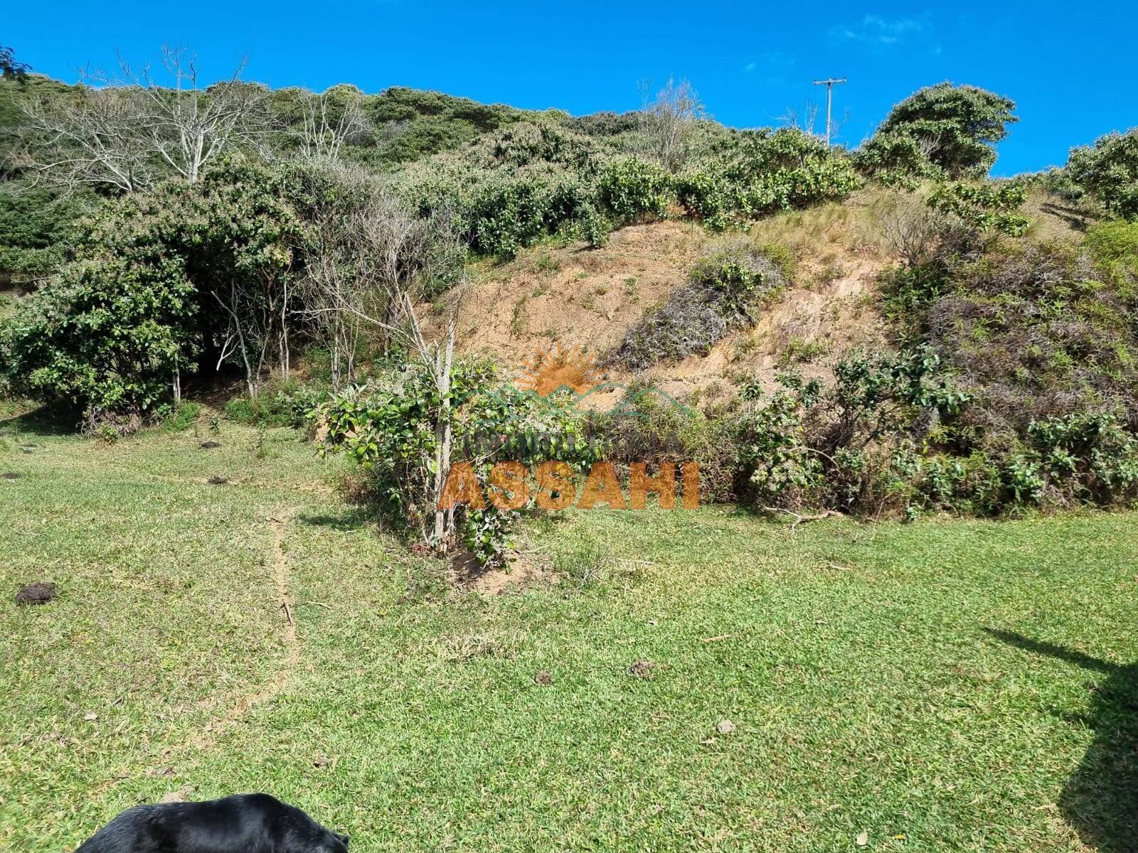 Terreno, 266 hectares - Foto 58