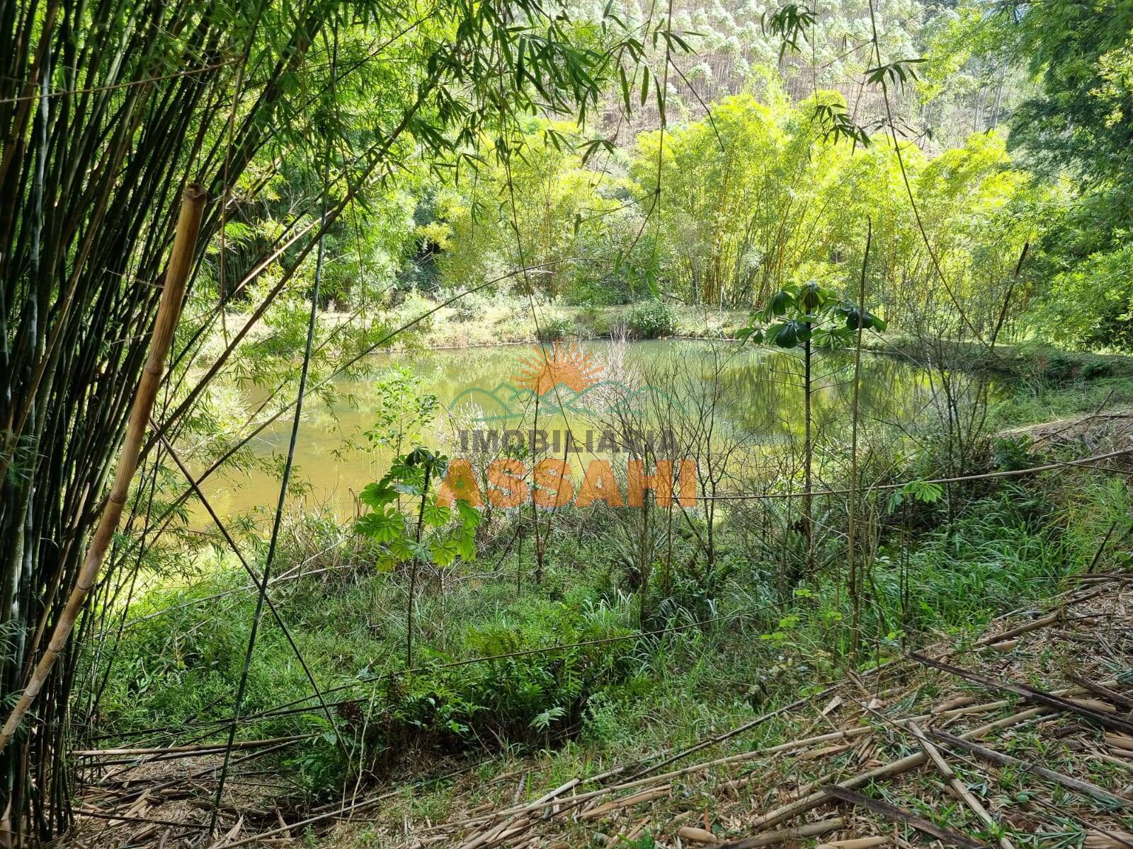 Terreno, 266 hectares - Foto 56