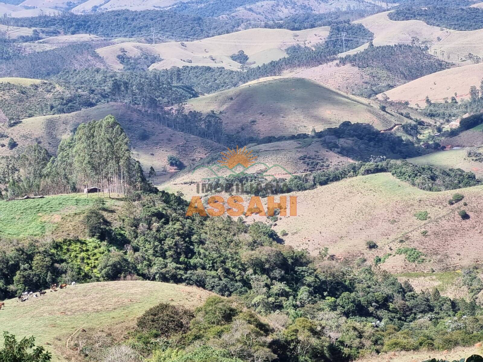 Terreno, 266 hectares - Foto 55