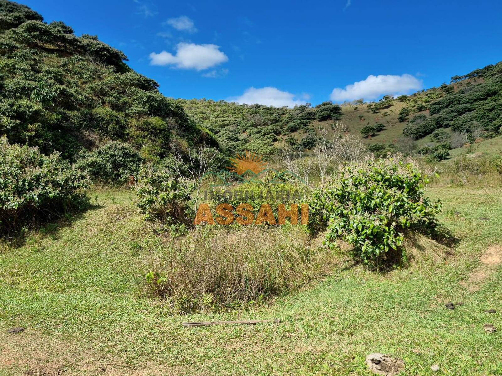 Terreno, 266 hectares - Foto 54