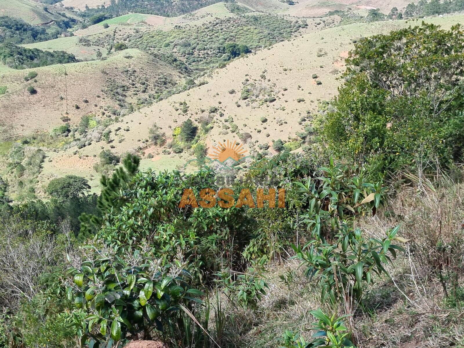 Terreno, 266 hectares - Foto 52