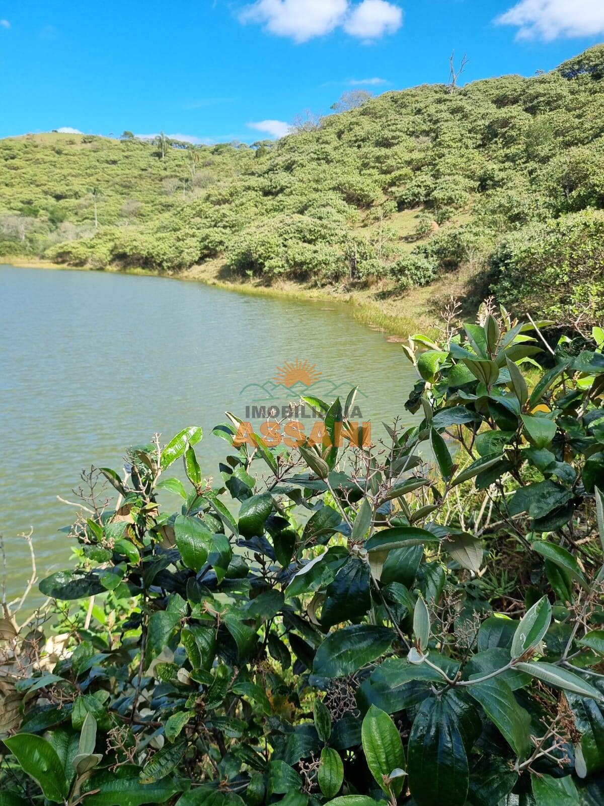 Terreno, 266 hectares - Foto 2