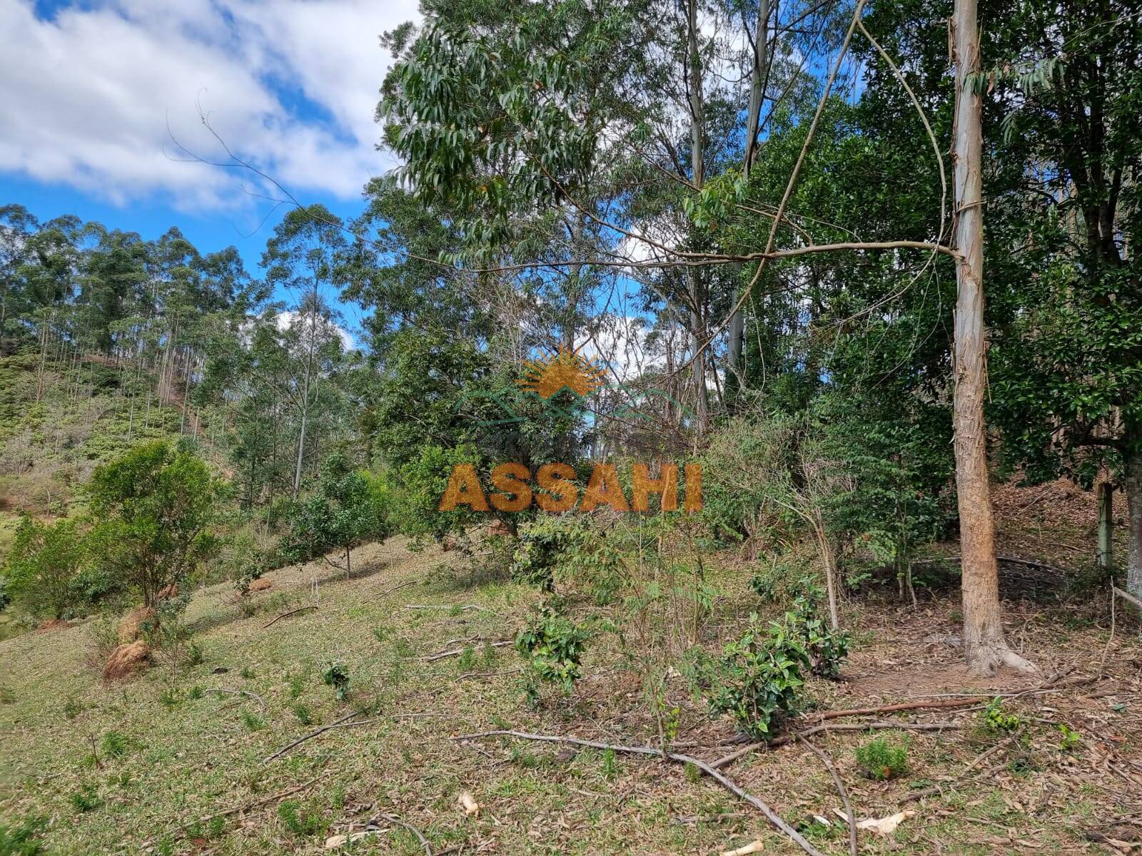 Terreno, 266 hectares - Foto 42