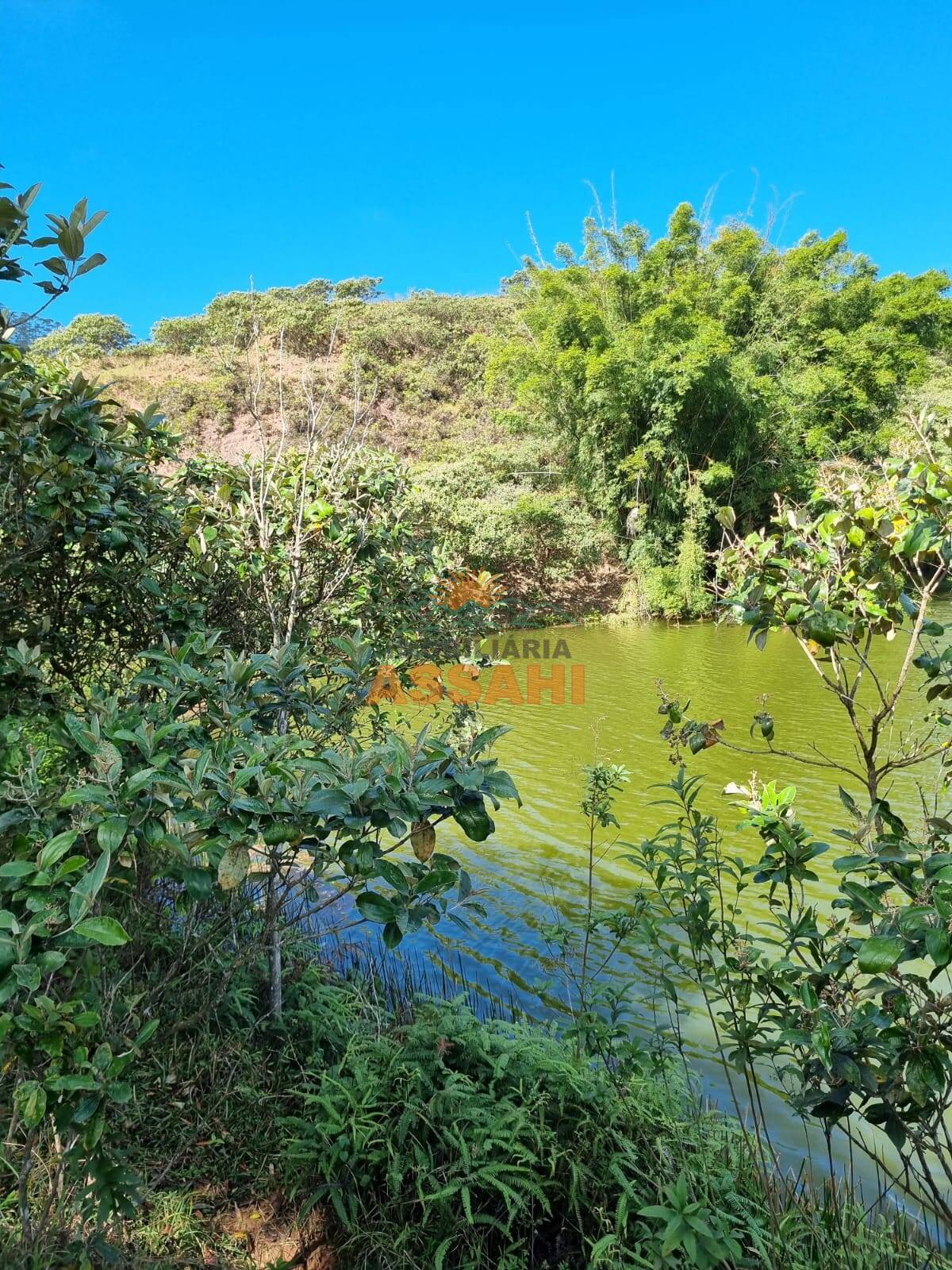 Terreno, 266 hectares - Foto 32