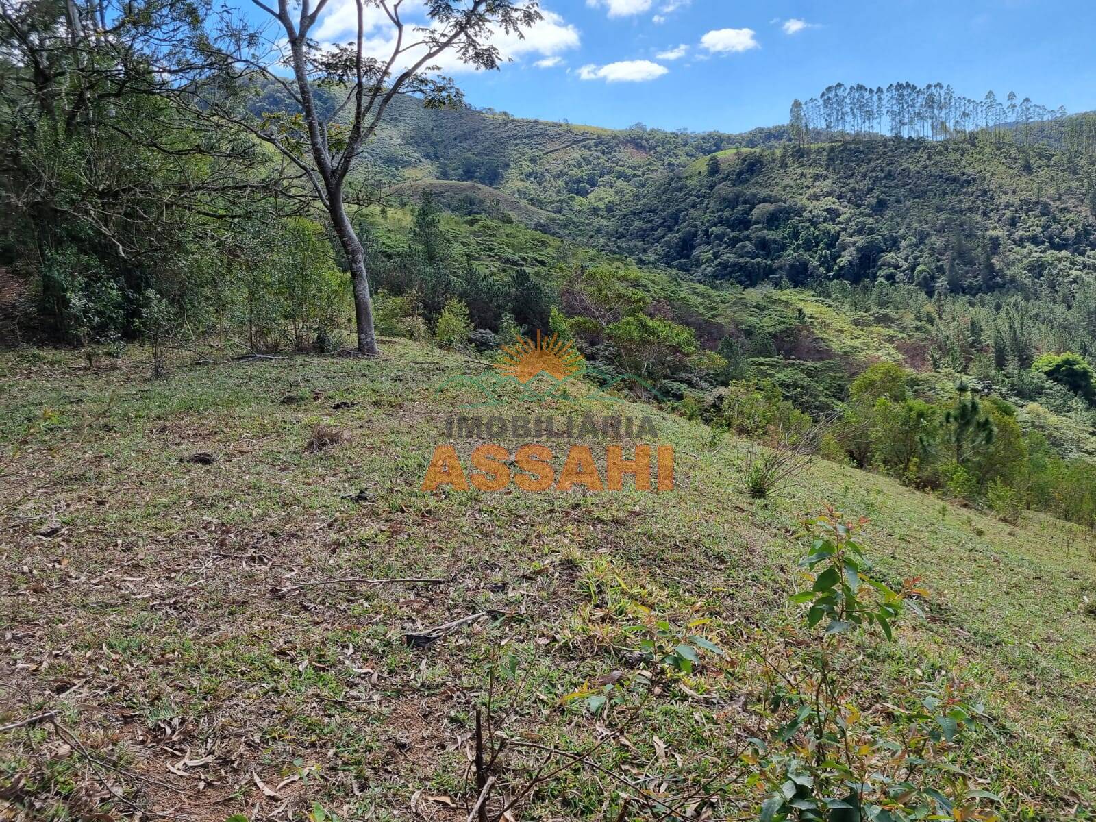 Terreno, 266 hectares - Foto 29