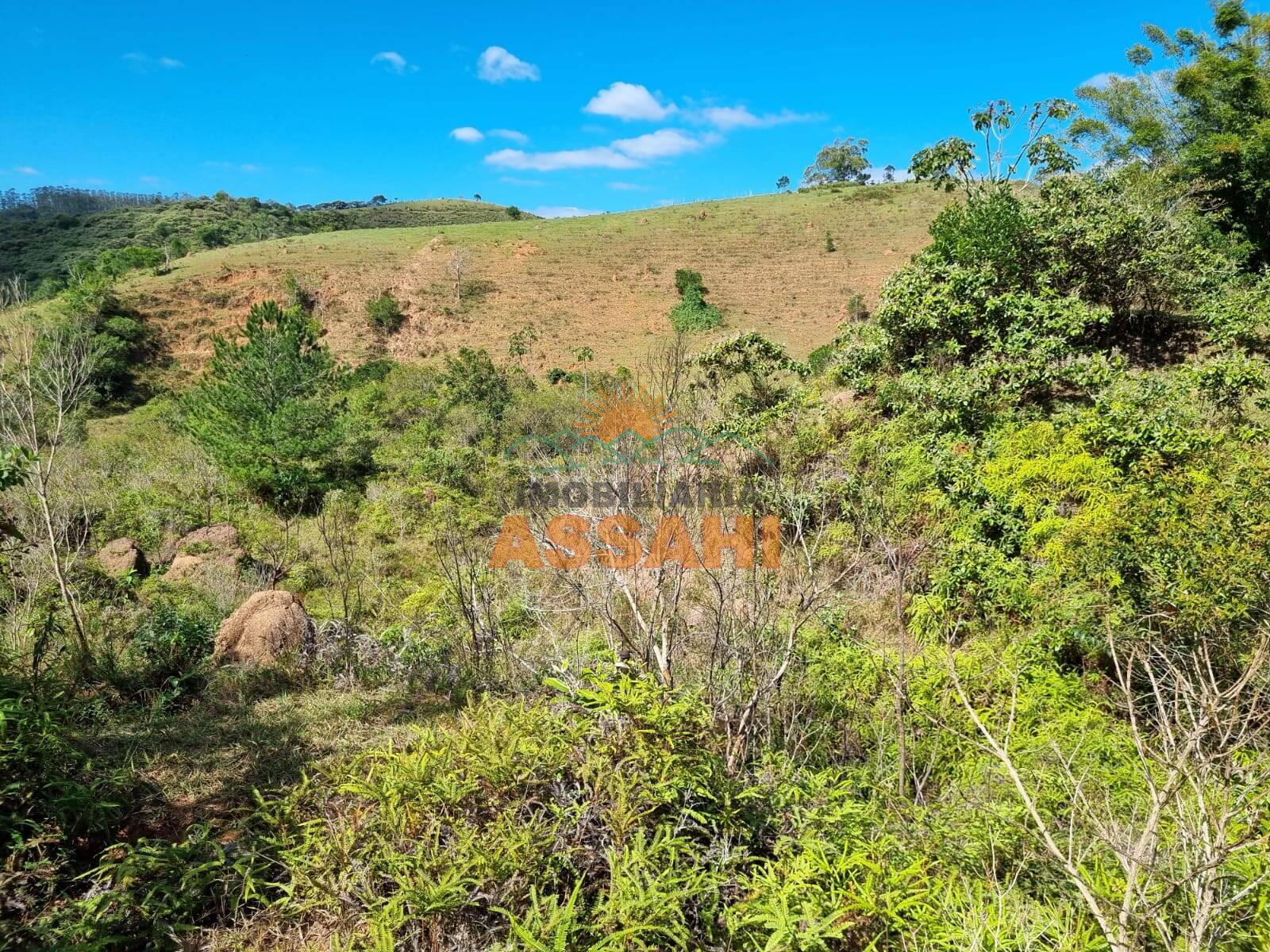 Terreno, 266 hectares - Foto 27