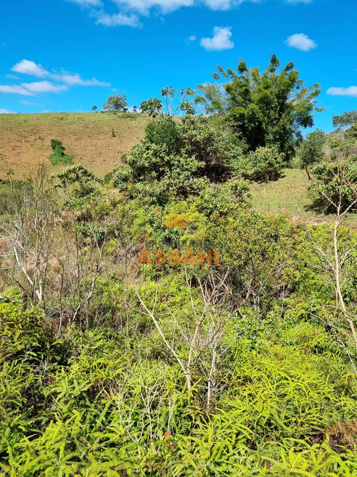 Terreno, 266 hectares - Foto 26